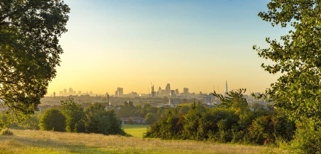 1115x535px-Hampsteadbranch-3.jpg