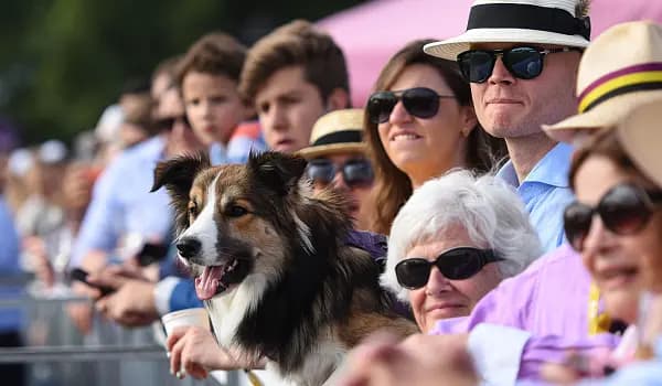 Chestertons_Polo_In_The_Park-2.jpg